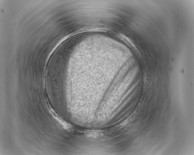 X0000059041236200510281534