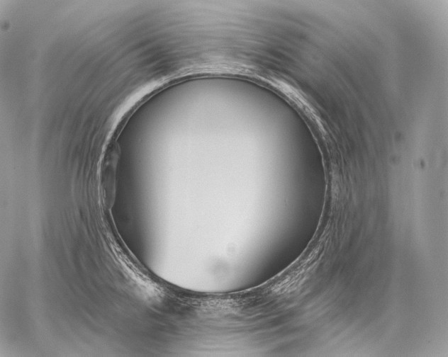 X0000059041238200510281534