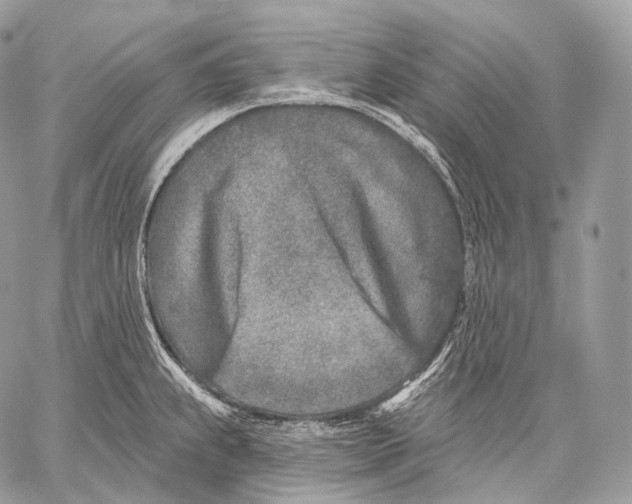 X0000059041239200510281534