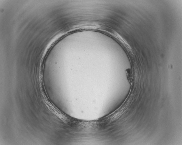 X0000059041240200510281534