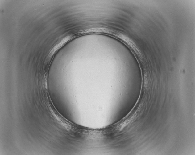 X0000059041241200510281534