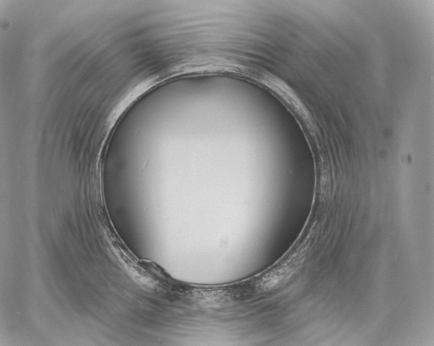 X0000059041242200510281534