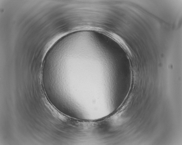 X0000059041244200510281534