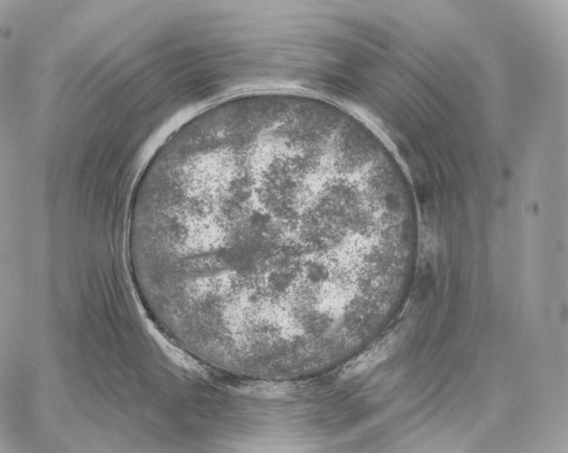 X0000059041245200510281534