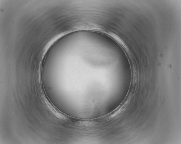 X0000059041246200510281534