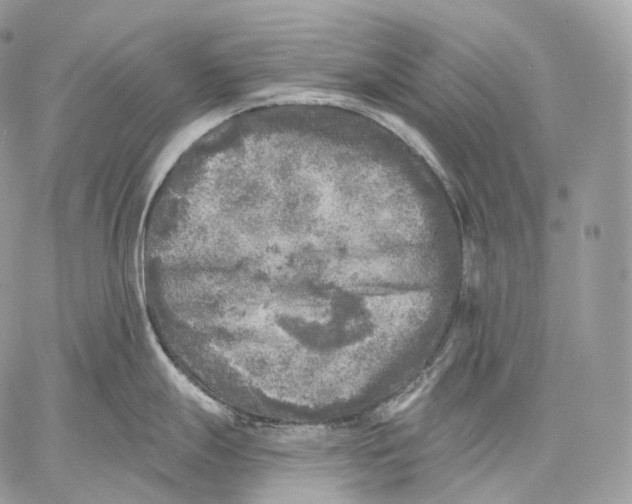 X0000059041247200510281534