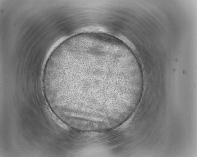 X0000059041248200510281534