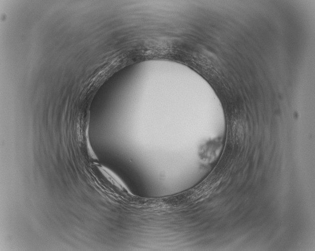 X0000059041250200510281533