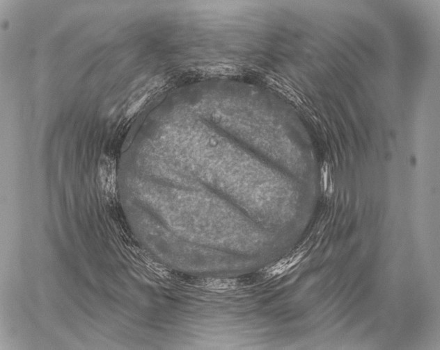 X0000059041251200510281533