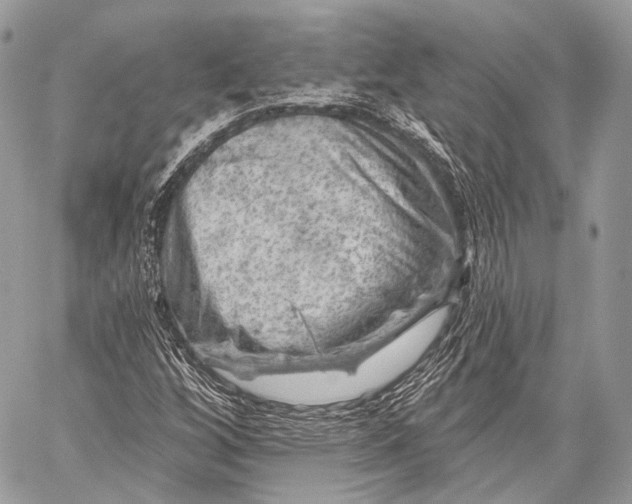 X0000059041256200510281533