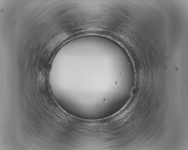 X0000059041257200510281533