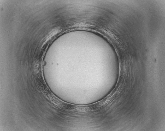 X0000059041258200510281533