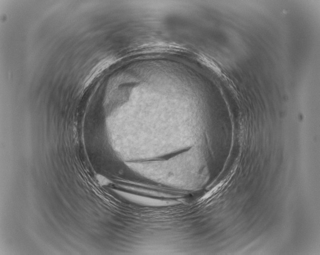 X0000059041259200510281533