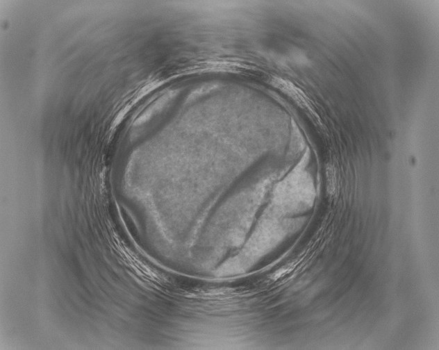 X0000059041260200510281533