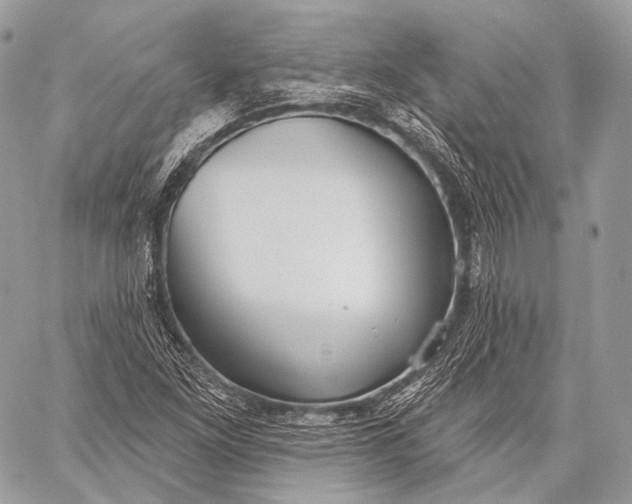 X0000059041261200510281533