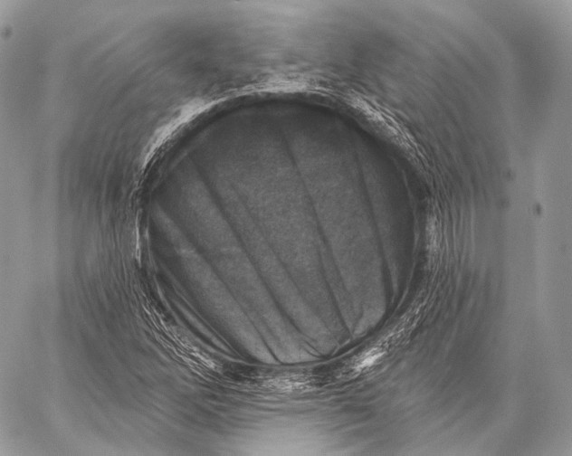 X0000059041262200510281533