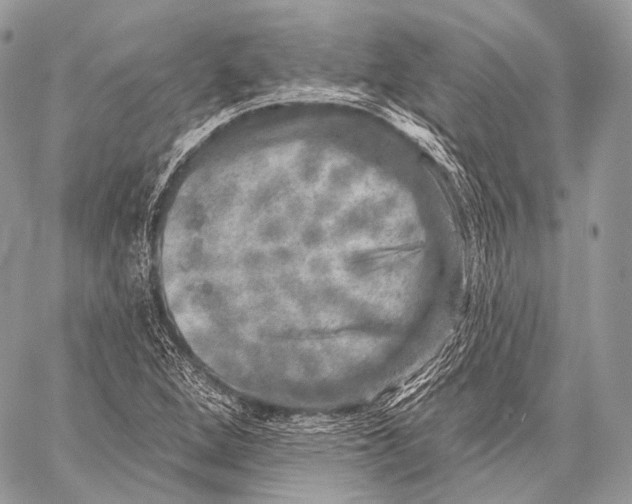 X0000059041264200510281533