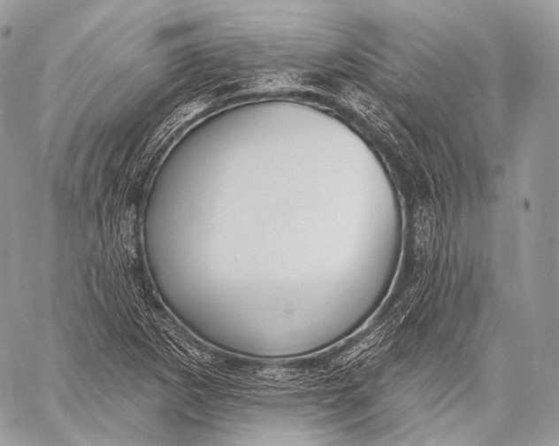 X0000059041265200510281533