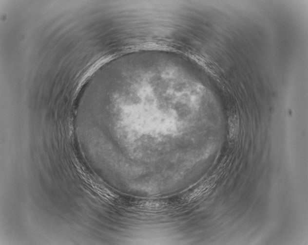 X0000059041266200510281533