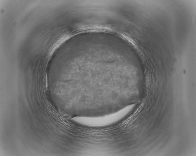 X0000059041267200510281533