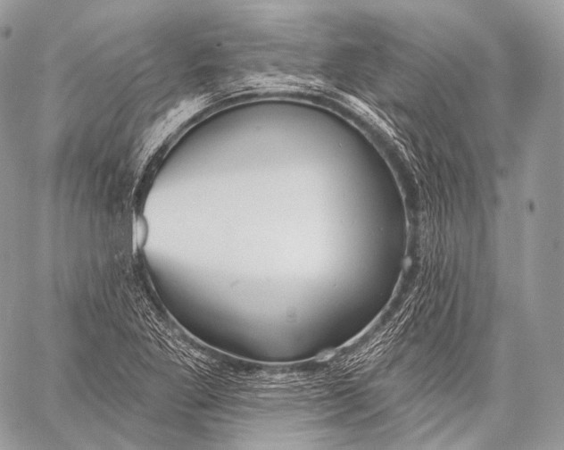 X0000059041269200510281533