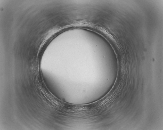 X0000059041270200510281533