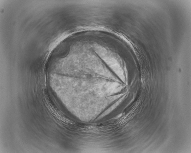 X0000059041271200510281533