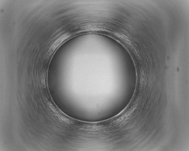 X0000059041273200510281533