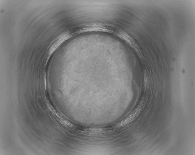 X0000059041274200510281533