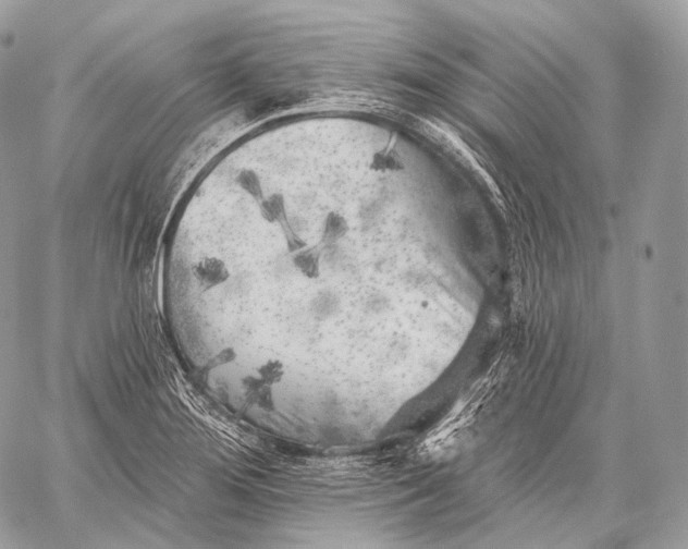 X0000059041276200510281533