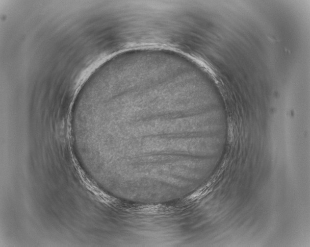 X0000059041279200510281533