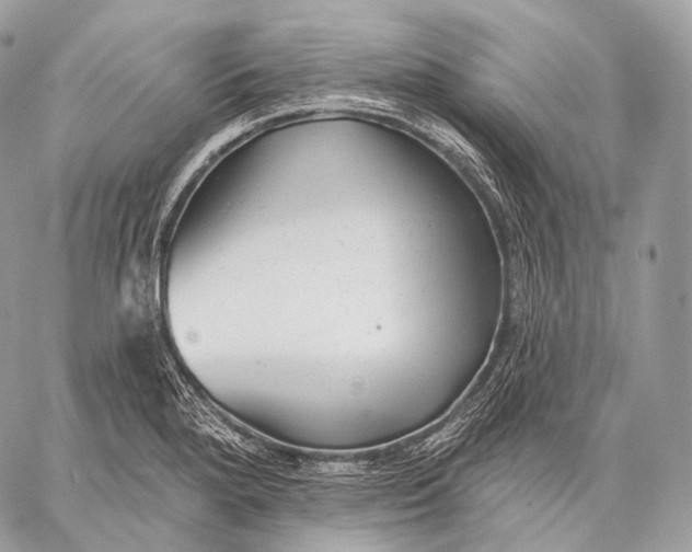 X0000059041280200510281533