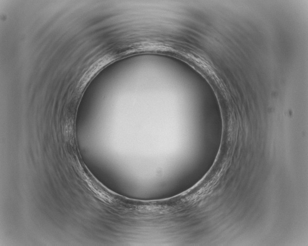 X0000059041281200510281533