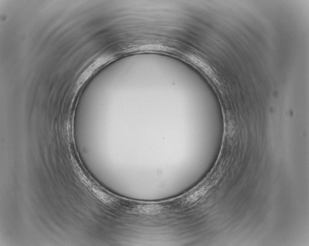 X0000059041282200510281533