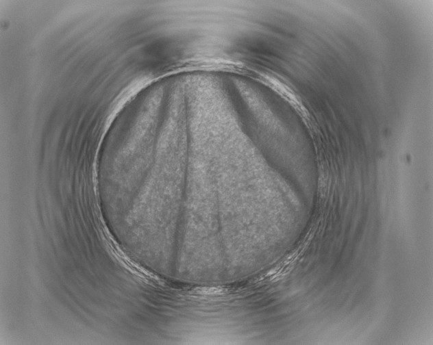 X0000059041283200510281533