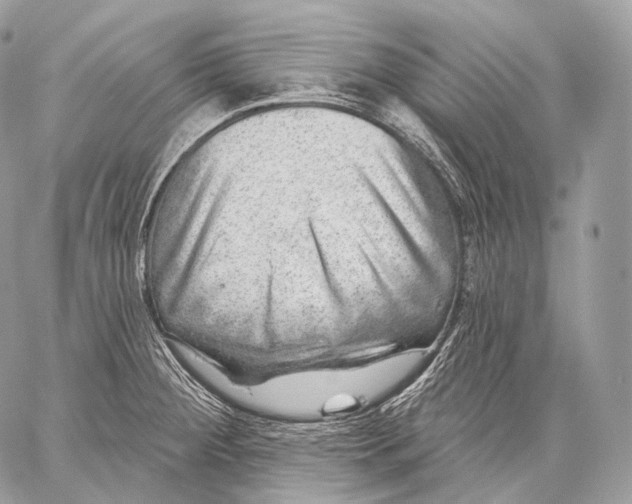 X0000059041284200510281533