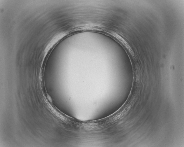 X0000059041285200510281533