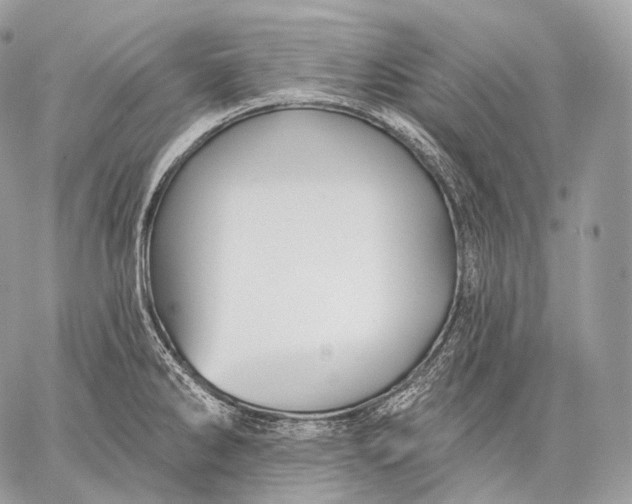 X0000059041286200510281533