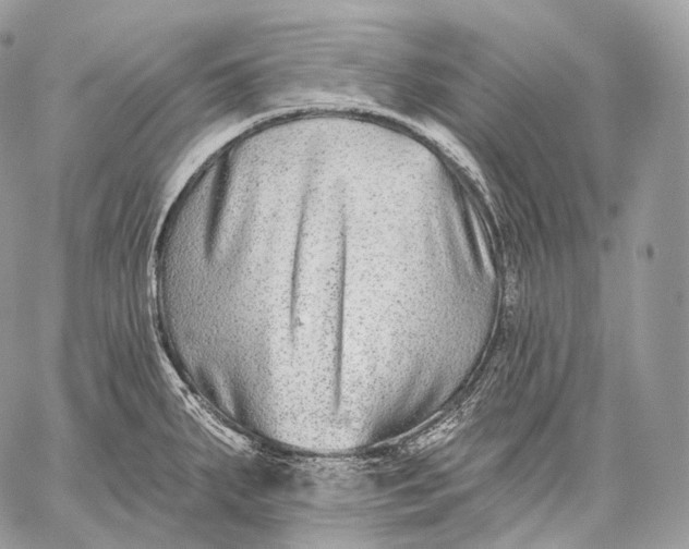 X0000059041287200510281533