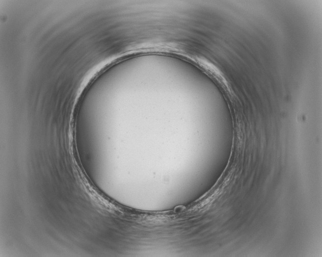 X0000059041288200510281533