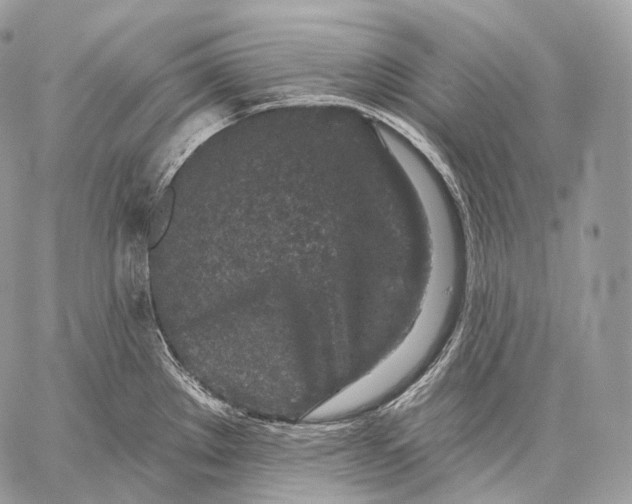 X0000059041289200510281533