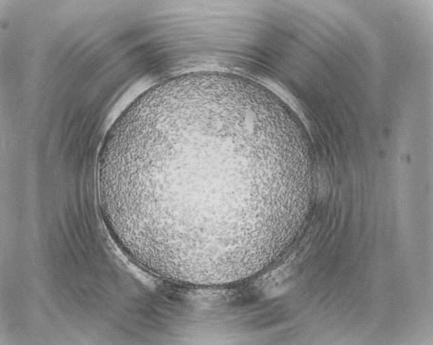 X0000059041290200510281533