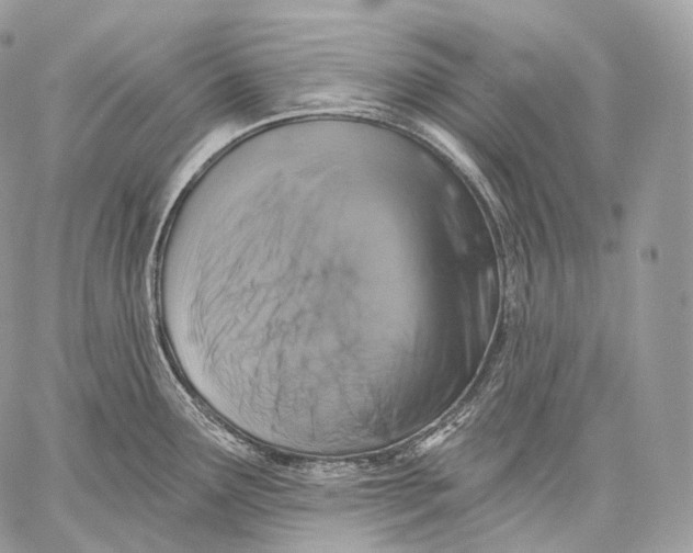 X0000059041291200510281533