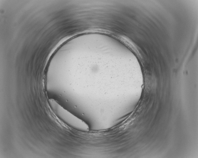 X0000059041292200510281533