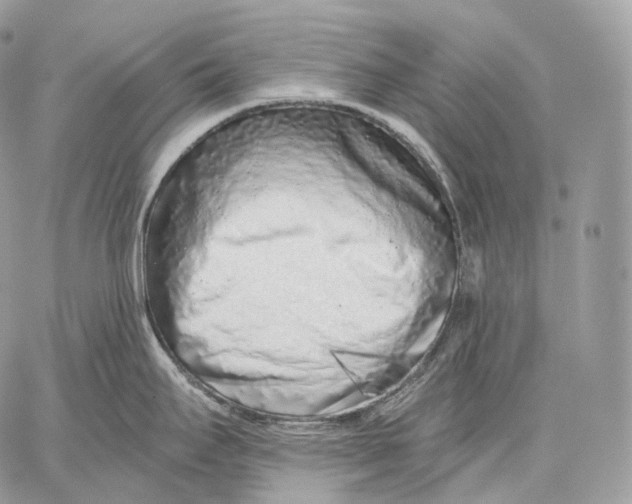 X0000059041295200510281533