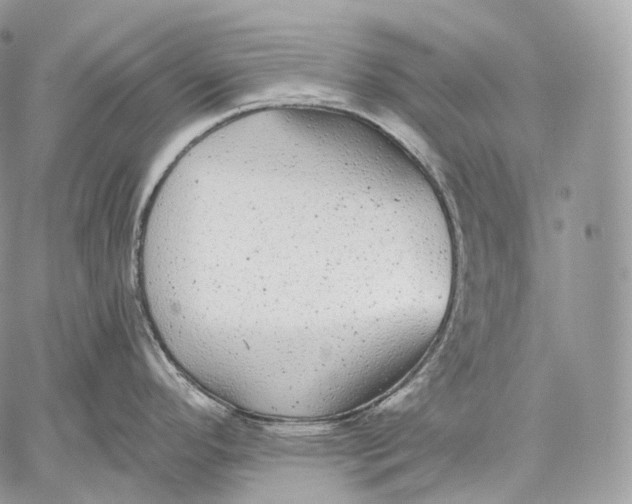 X0000059041296200510281533