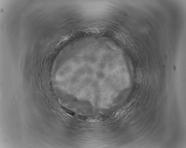 X0000059041297200510281532