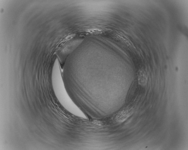 X0000059041298200510281532