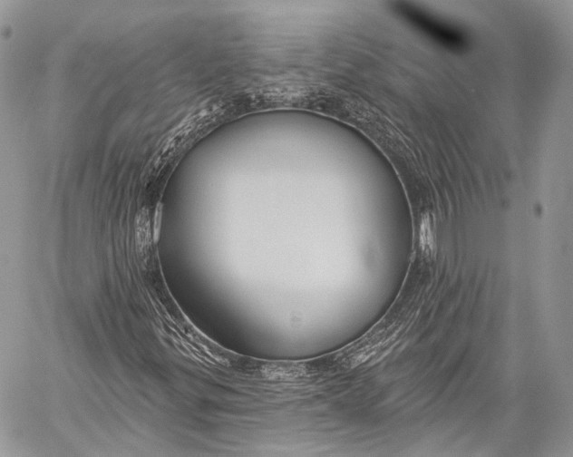 X0000059041299200510281532