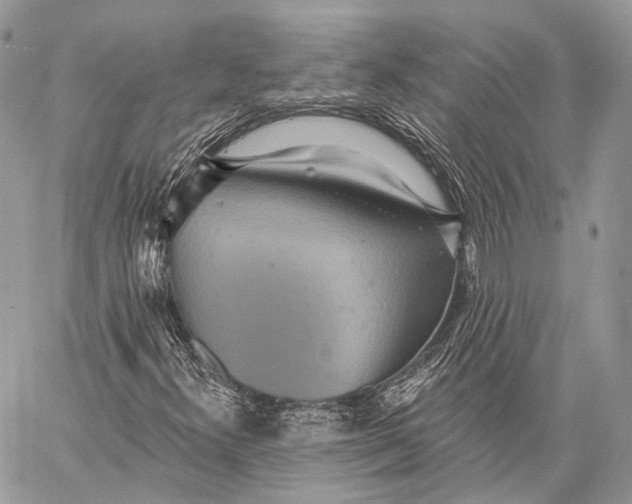 X0000059041300200510281532